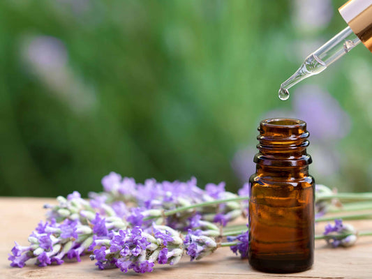 Essential Oils (10 Ml)